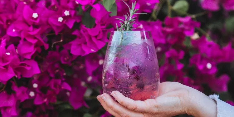 ¡Pá la calor! Agua de bugambilia con limón: bebida de temporada