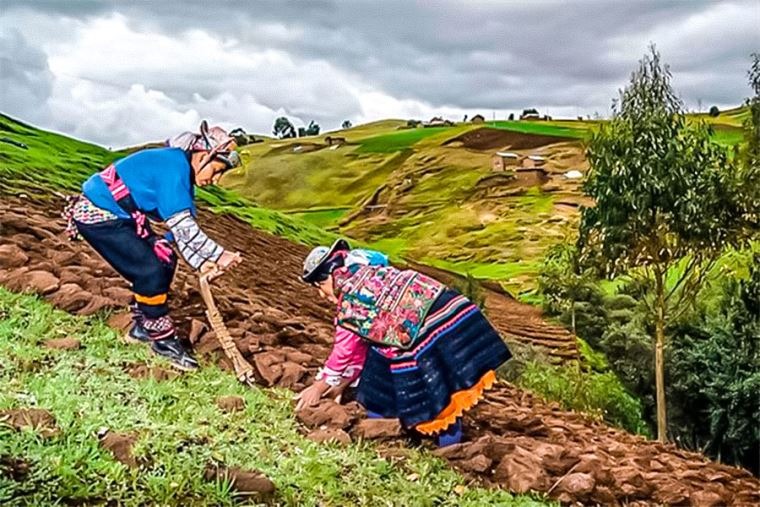 La Reforma Agraria de Velasco y el Agro, la agenda pendiente en América Latina