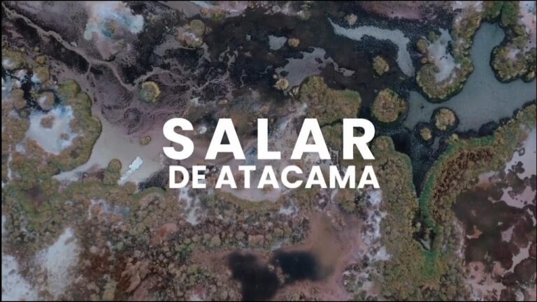 Video: El Salar de Atacama desde los ojos de los pueblos originarios afectados por la extracción de litio de SQM