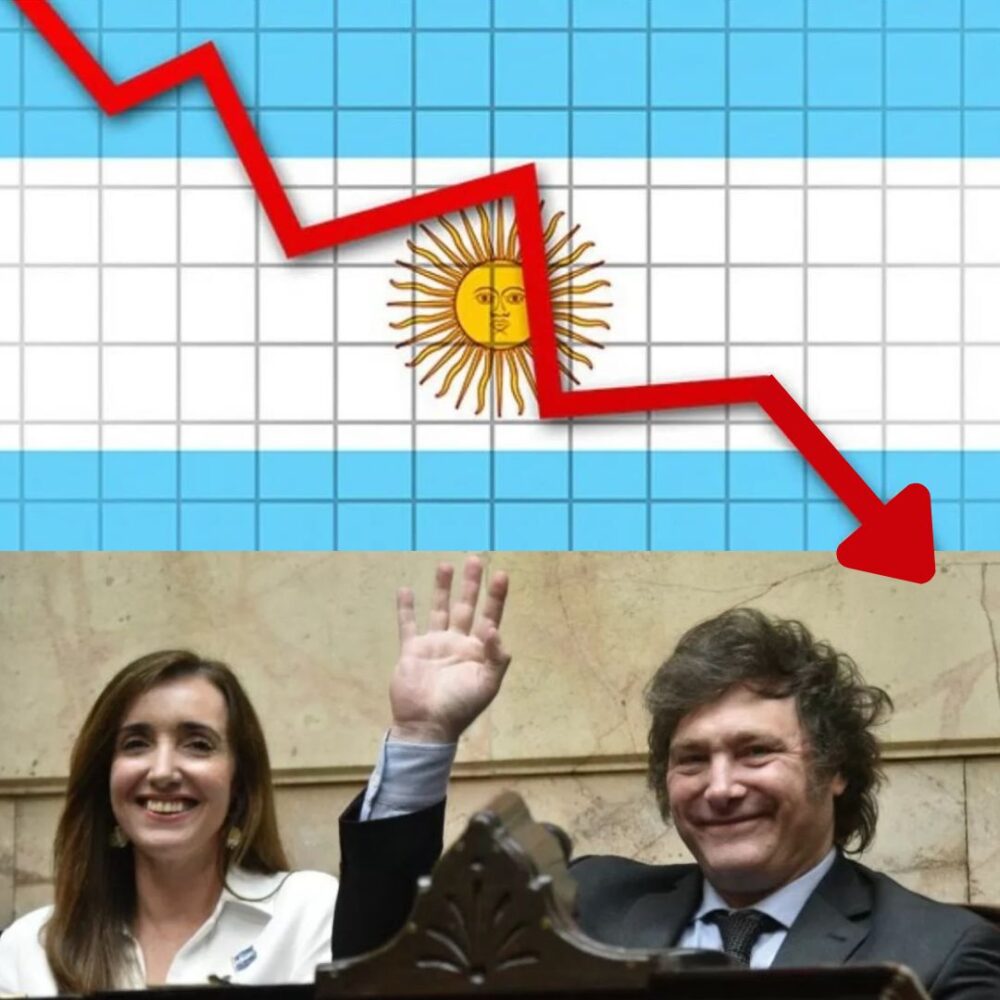 202407 VILLARROEL MILEI DESTRUCCION DE ARGENTINA economia desempleo caida empobrecimiento empobrecer