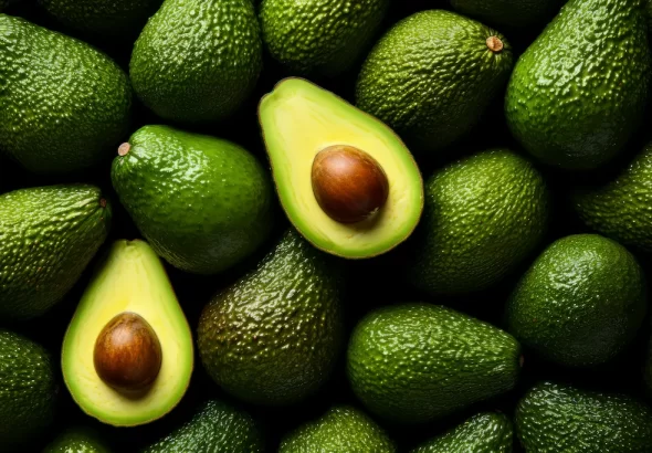 Palta: versátil y nutritiva