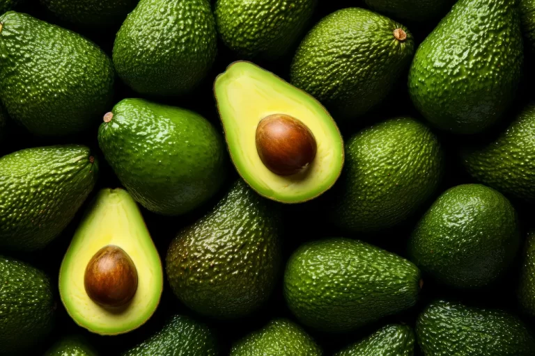 Palta: versátil y nutritiva Palta: versátil y nutritiva