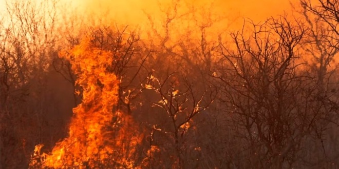 Córdoba: Se reinició el fuego en La Calera