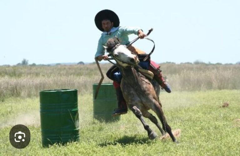 Feliz Dia de la Tradición: Concejal Jorge Rú propone crear un predio para la práctica de destrezas criollas y esparcimiento con caballos