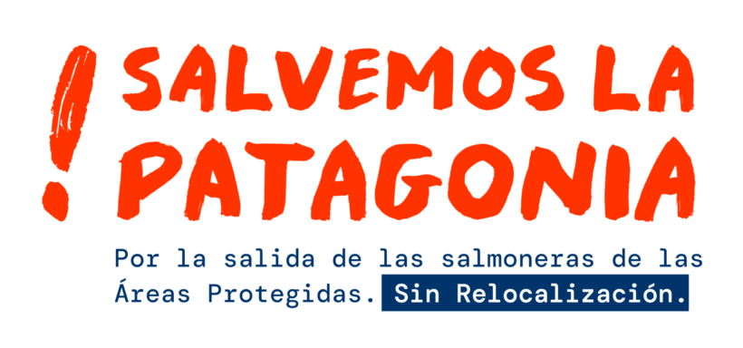 Chile. Empresa china Joyvio constata práctica ilegal de la salmonicultura:  “La mayoría de las empresas sobreproducían en diversos grados”