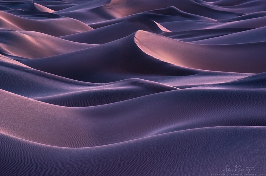 Dunas 2
