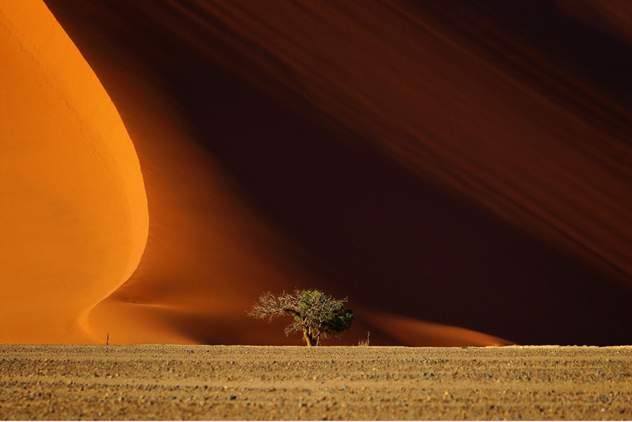 Dunas