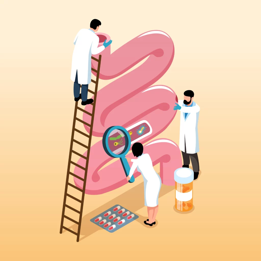 Microbiota intestinal