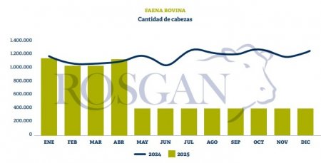 rosgan 1