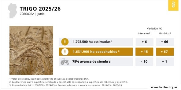 TRIGO CORDOBA