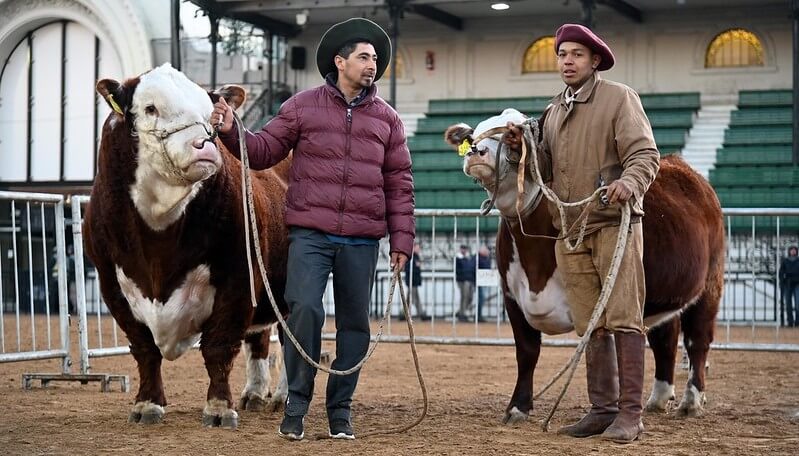 animales palermo 2024