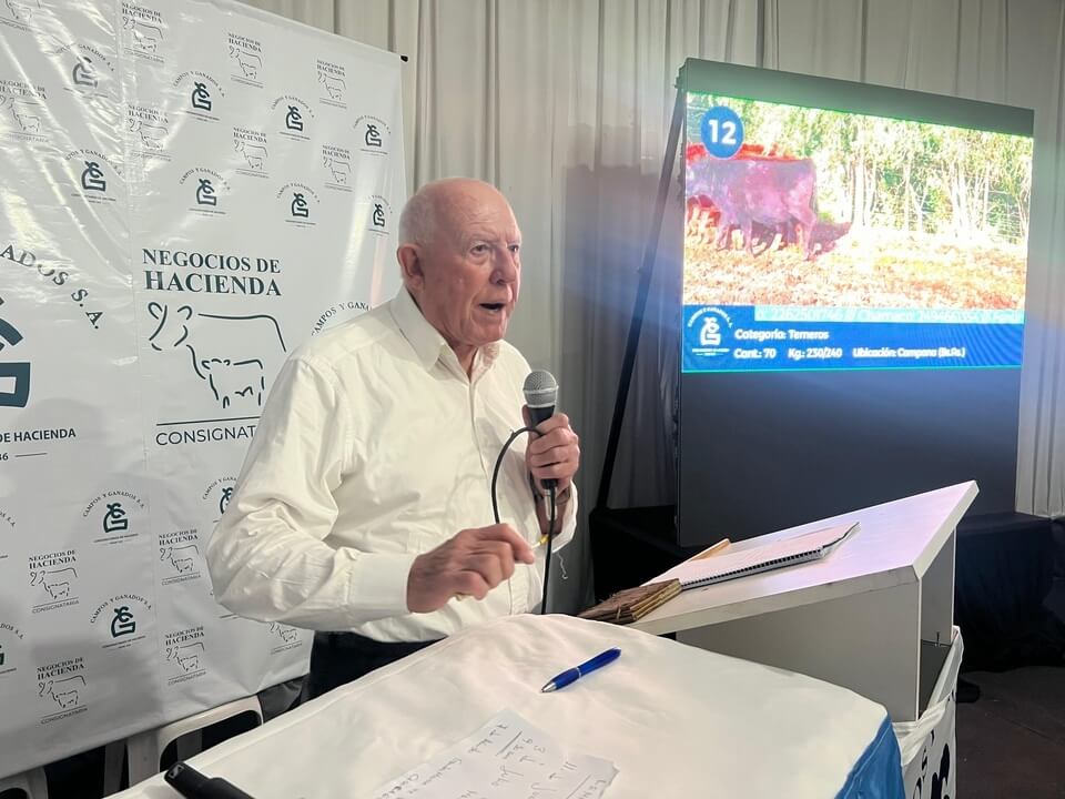 campos y ganados remate televisado agroactiva 2025