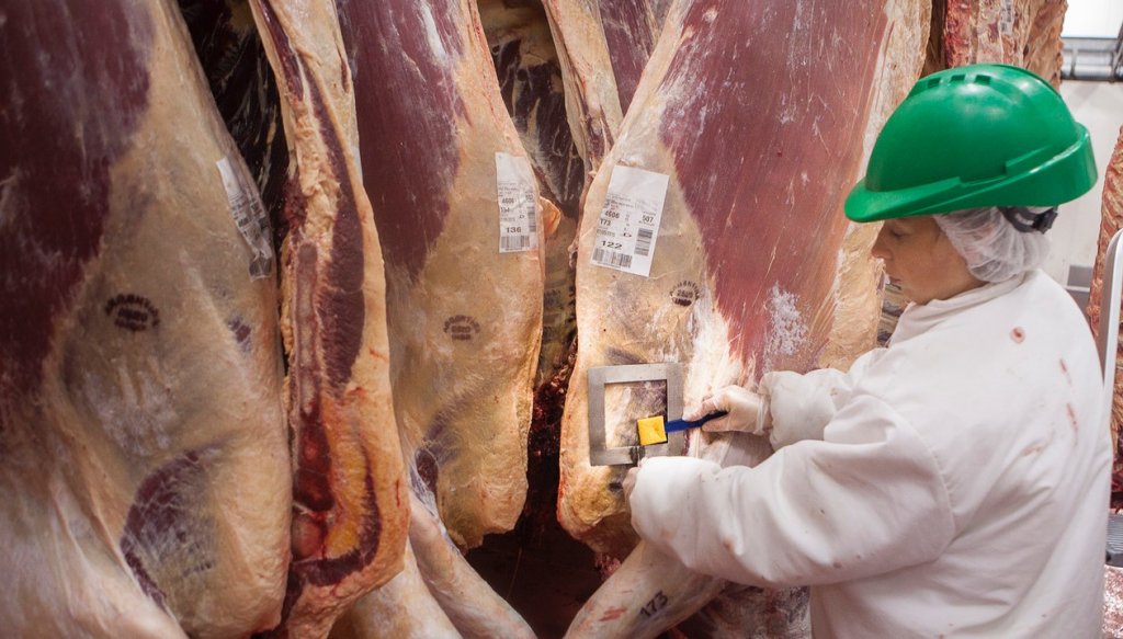 carne faena res frigorifico senasa