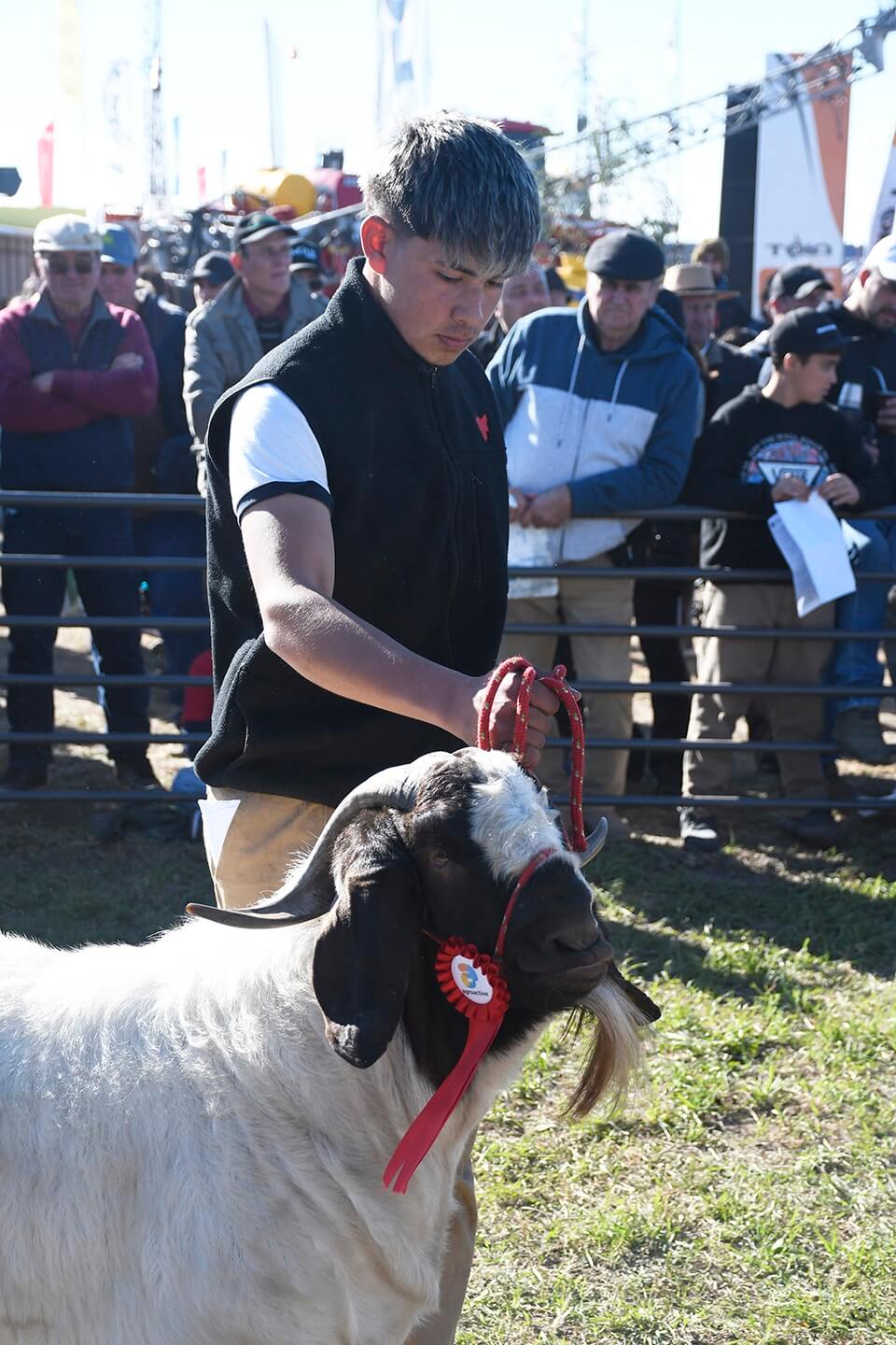 expo otono caprinos boer agroactiva