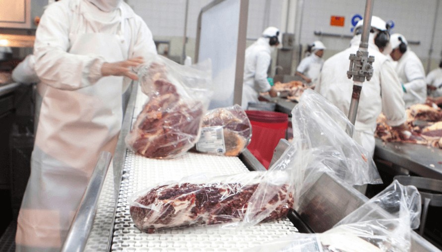 frigorifico bioeconomia