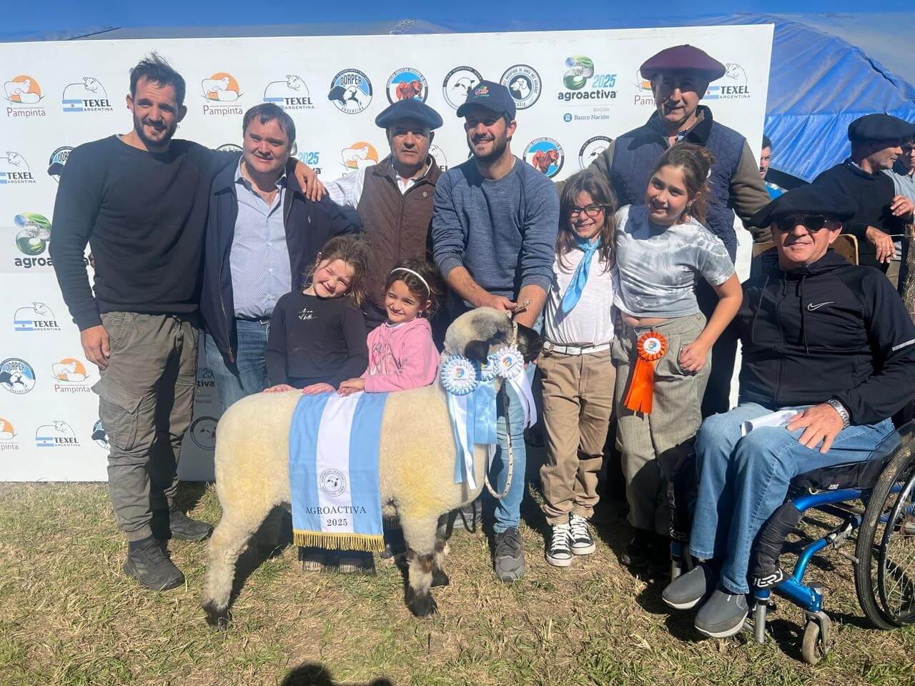 jura campeona hembra hampshire down