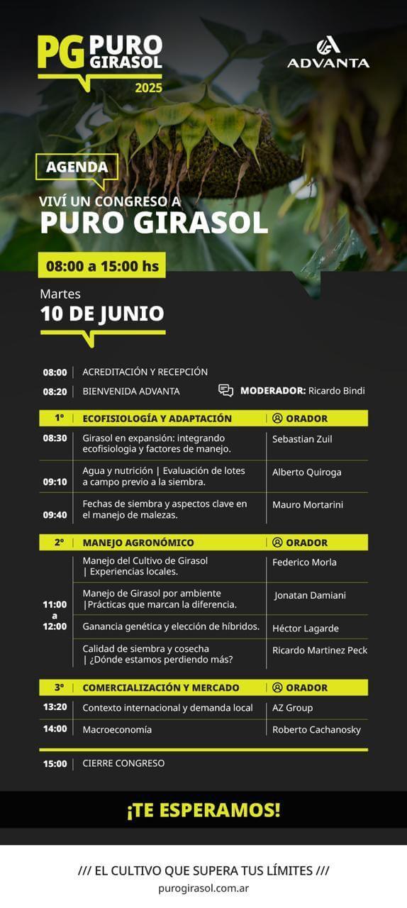 programa puro girasol