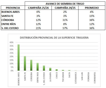 siembra trigo avance