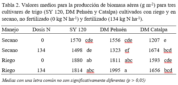 tabla 2 maich