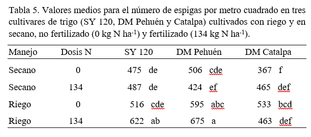 tabla 5 maich