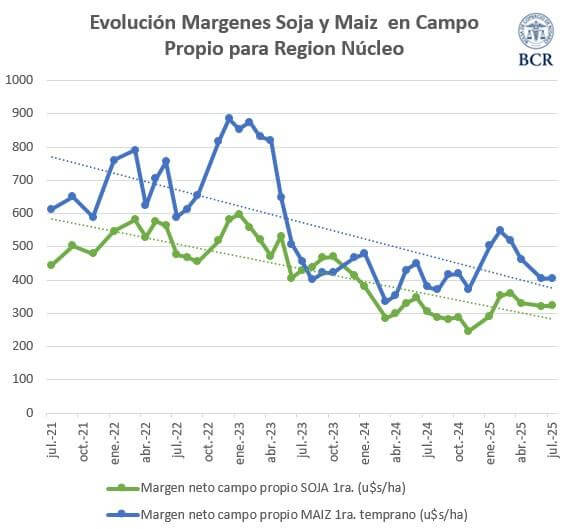 grafico evolucion margenes
