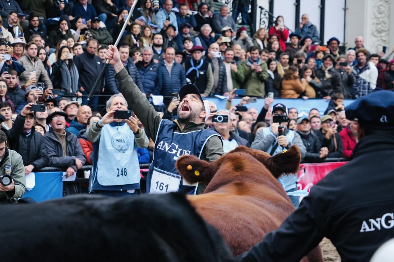 palermo gran campeon angus