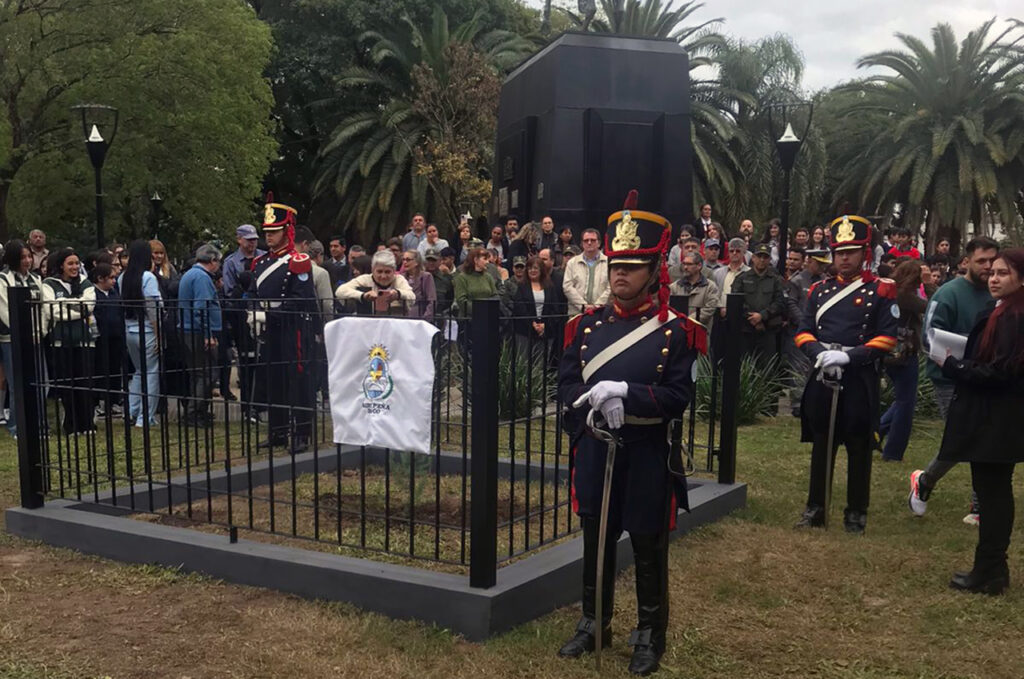Plantaron en Roque Sáenz Peña, Chaco, un nieto del Pino Histórico cedido por San Lorenzo Plantaron en Roque Sáenz Peña, Chaco, un nieto del Pino Histórico cedido por San Lorenzo