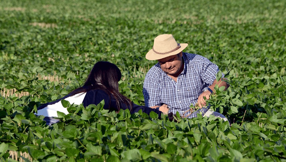 productores sec agricultura