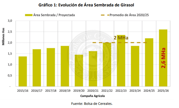 siembra girasol bolsa ba