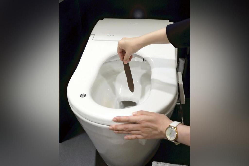 En Japón crearon un inodoro de última generación que analiza tus heces para mejorar la salud 2 En Japón crearon un inodoro de última generación que analiza tus heces para mejorar la salud