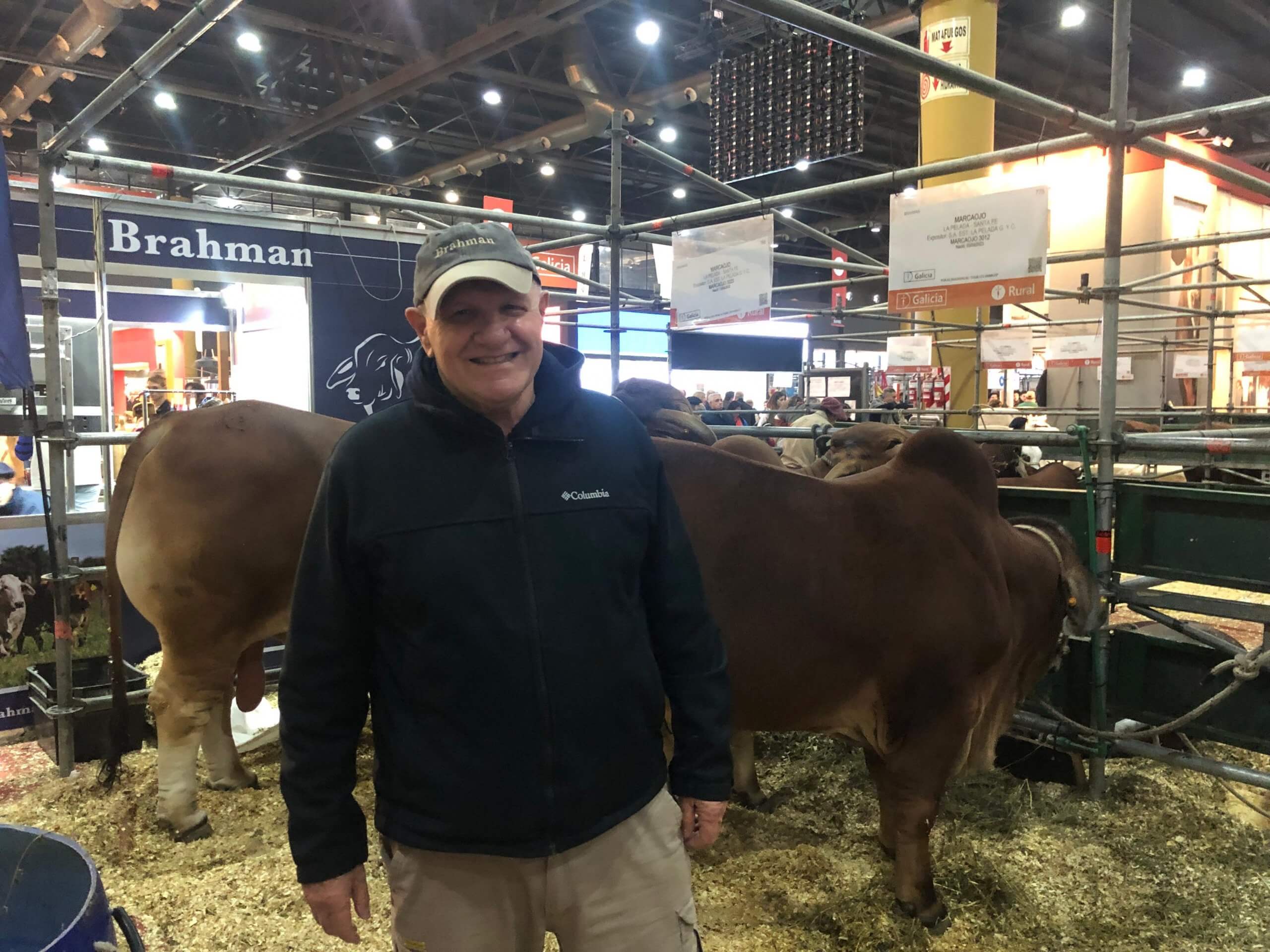 Los Brahman, con el “norte” en resurgir: en 6 años se duplicó la cantidad de cabañas de la raza 3 Brahman La Rural Eduardo Griffa scaled