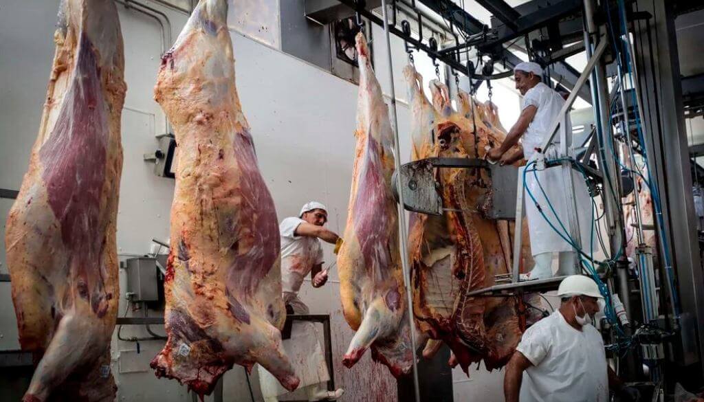 Carnes