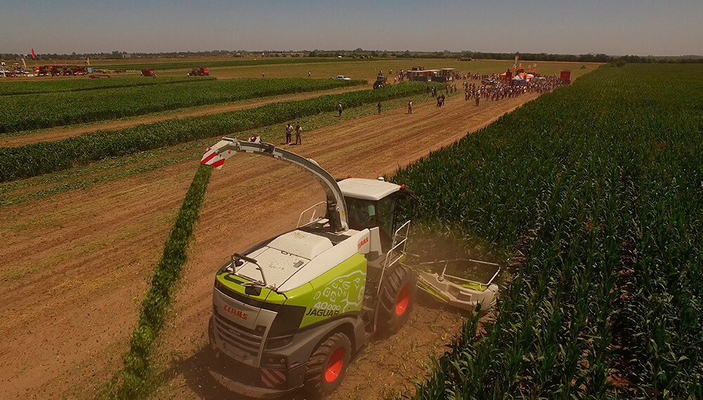 Claas Experiencia Forrajera y de Cosecha Sunchales 3