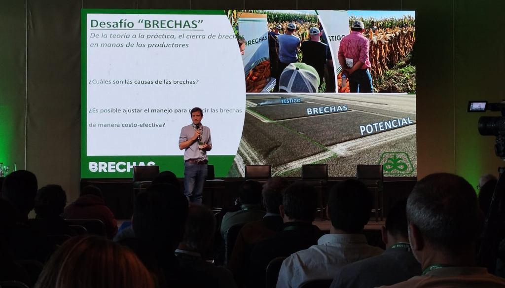 desafio brechas corteva