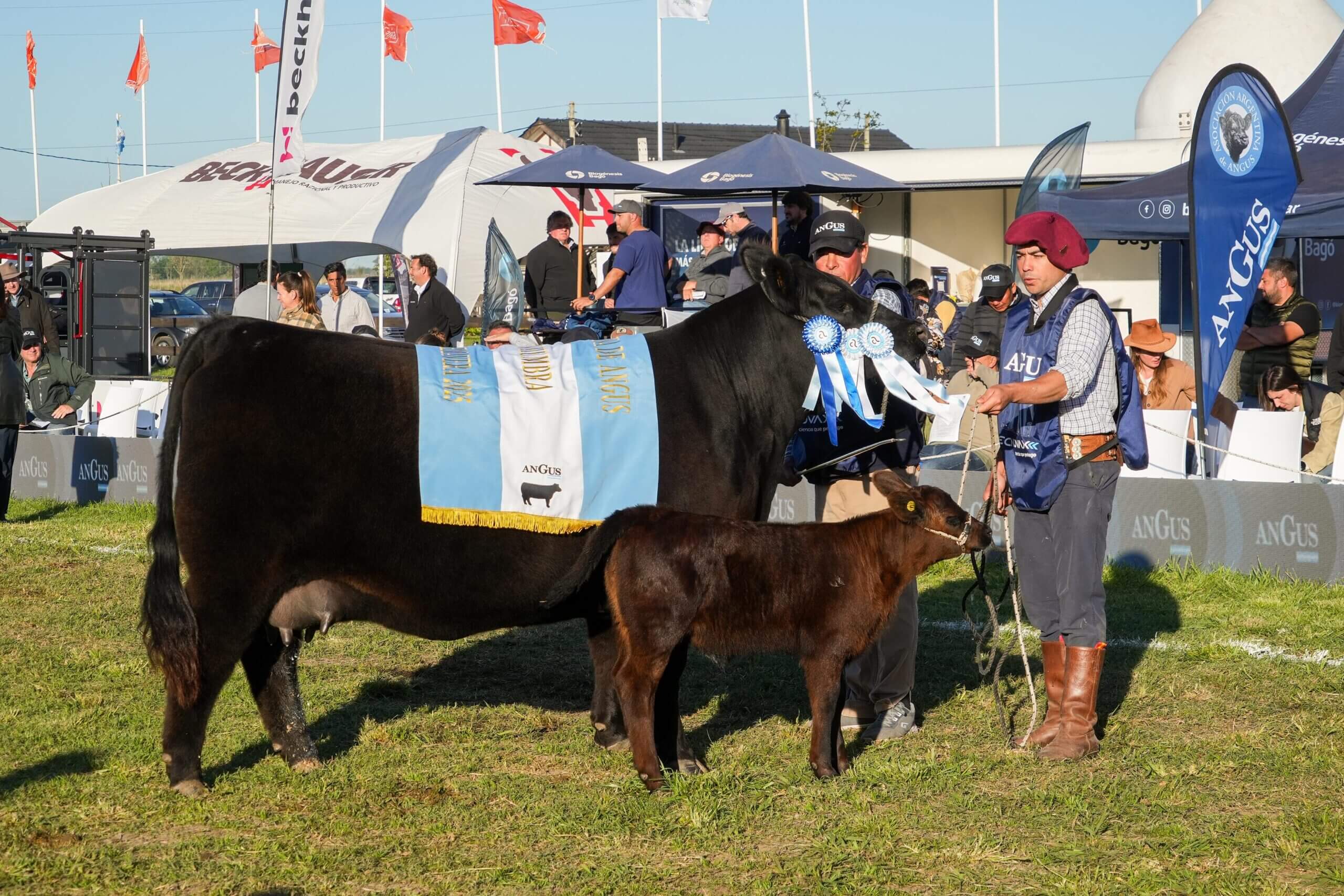 Descarga la foto del Gran Campeon Hemnra