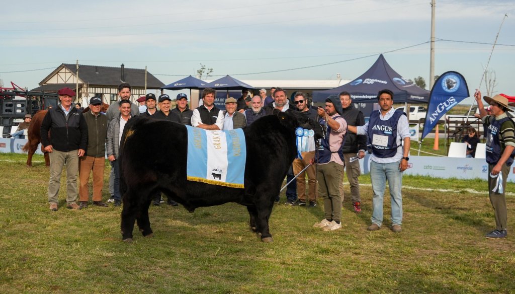 Descarga la foto del Gran Campeon Macho