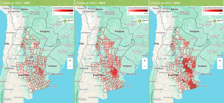 Grafico Conyza RALS para nota min