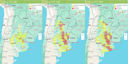 Mapas 2025 Conyza RALS min