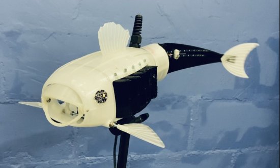 Pez devorador de plástico diseñado por estudiantes gana concurso de robótica bioinspirada 1 - Pez