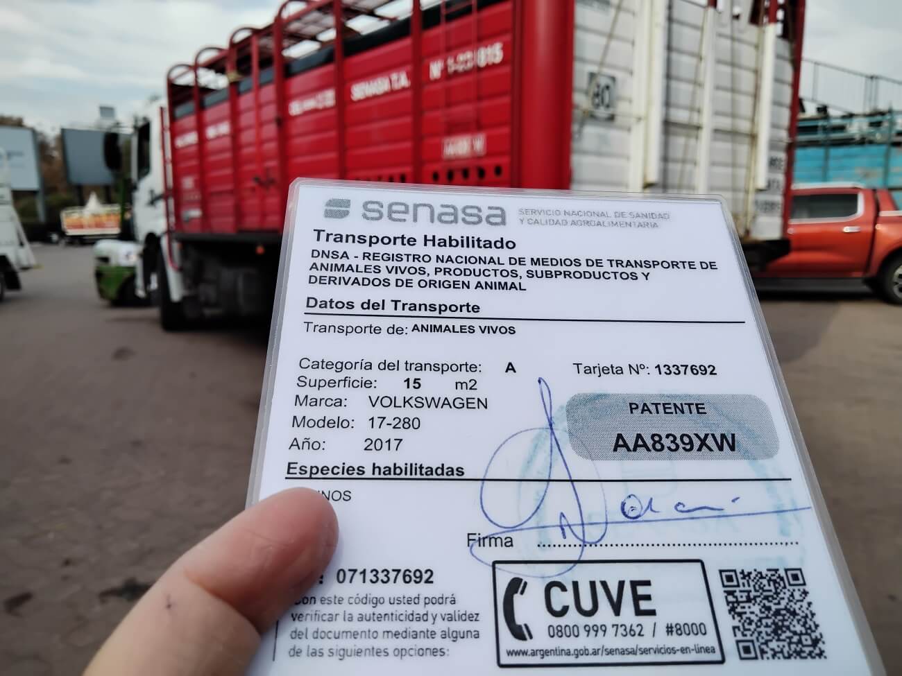 transportedesycg