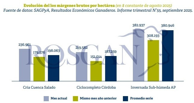 Sin titulo