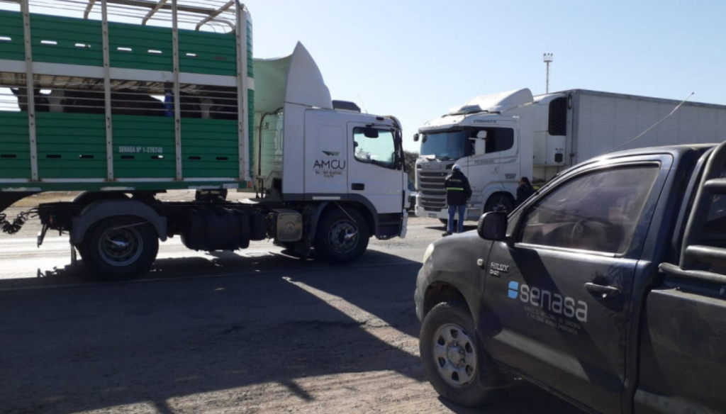 camion jaula senasa hacienda