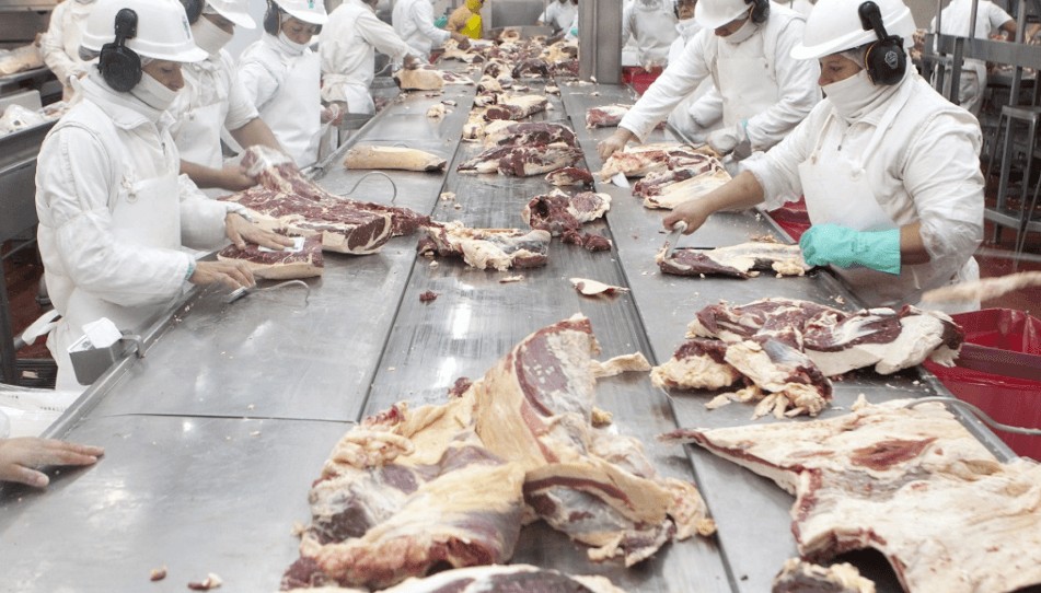 frigorifico senasa carne