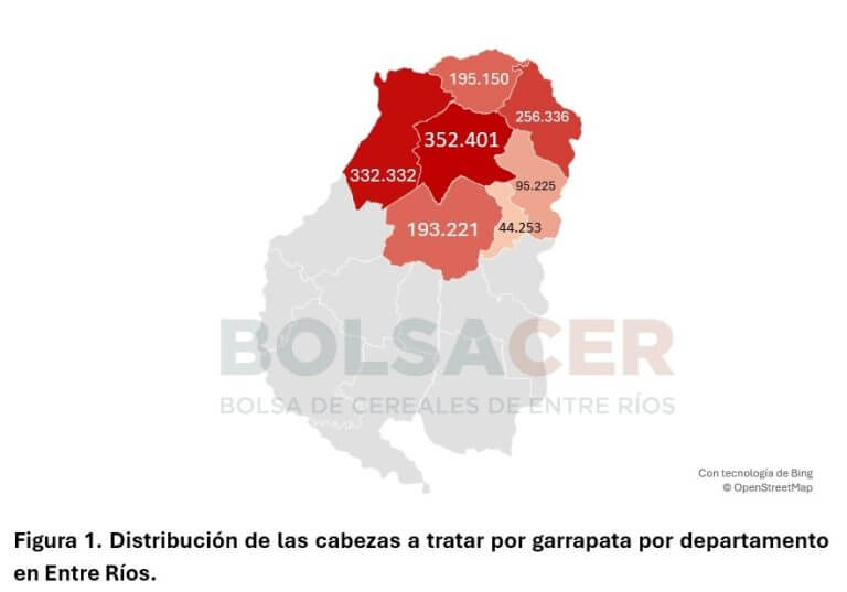 garrapata 1 768x537 1