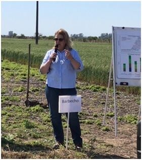 Una “fábrica” natural de nitrógeno y fósforo: leguminosas, la clave oculta para nutrir la soja 4 julia