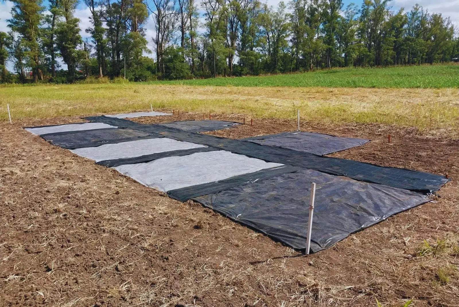 El poder del sol contra las malezas: una técnica del INTA muestra resultados sorprendentes 2 radiacion 3.jpg