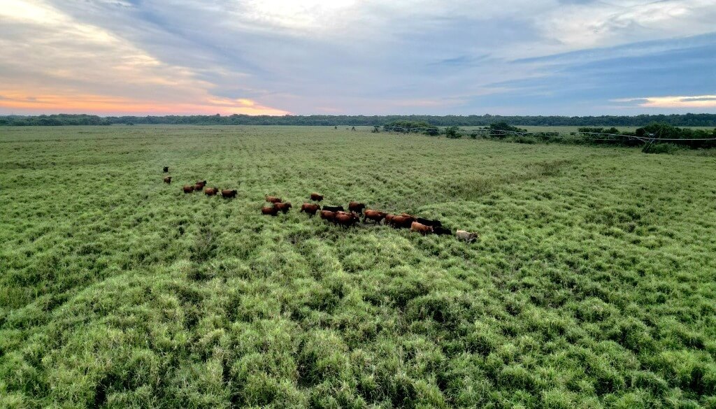 WhatsApp Image 2025 11 11 at 8.40.22 AM