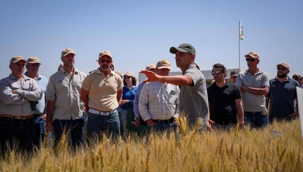 WhatsApp Image 2025 11 20 at 10.15.39 AM