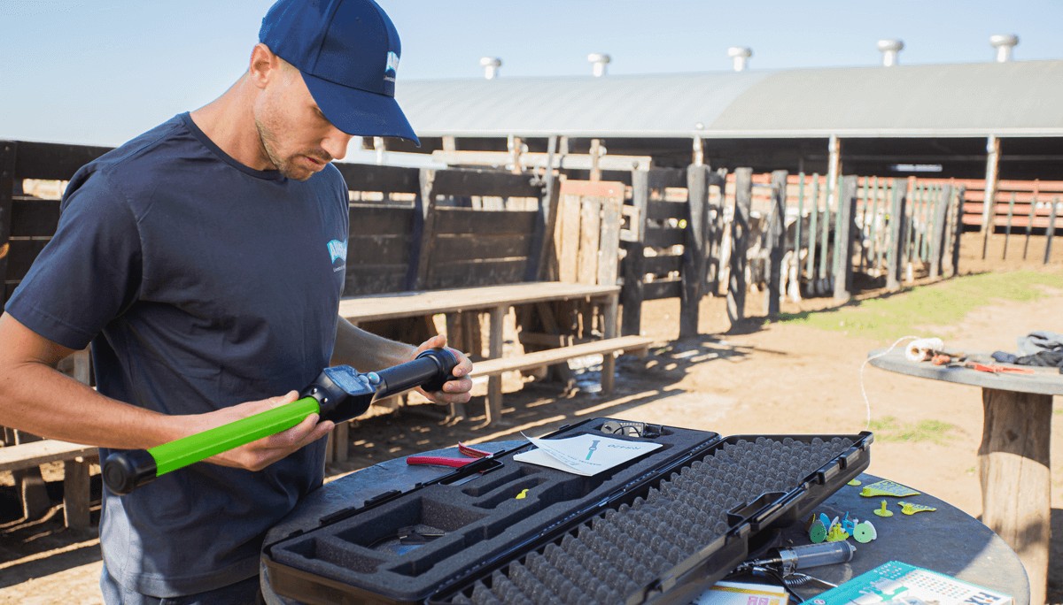 baston verde trazabilidad bovina villanueva