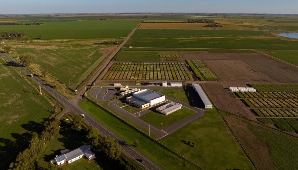 “Tenemos que pensar en una agricultura para alimentos y para biocombustibles, para las dos cosas” 5 Nufarm 2 e1764976017945